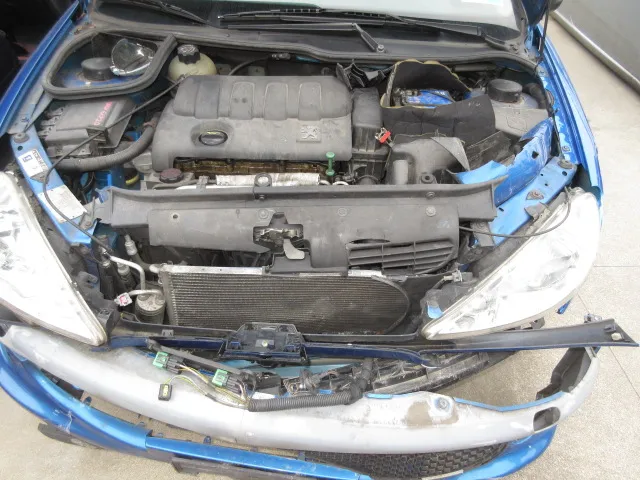 FANALINO POST. SX PEUGEOT 206 03>08