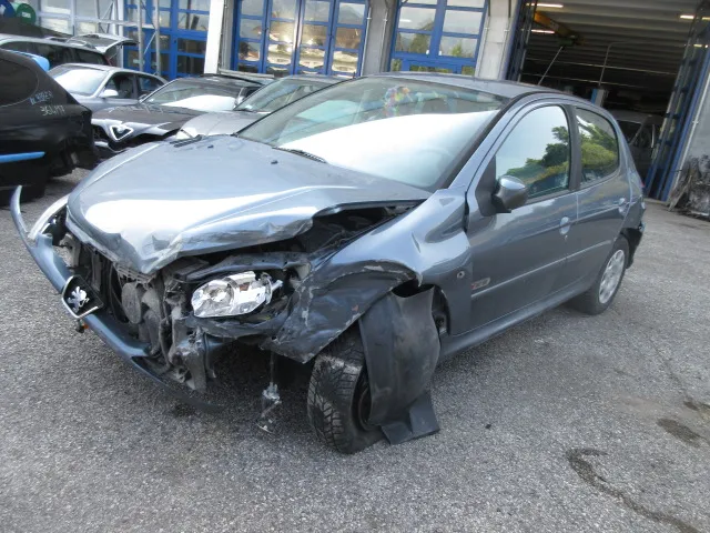 BLOCCHETTO ACCENSION PEUGEOT 206 03>08