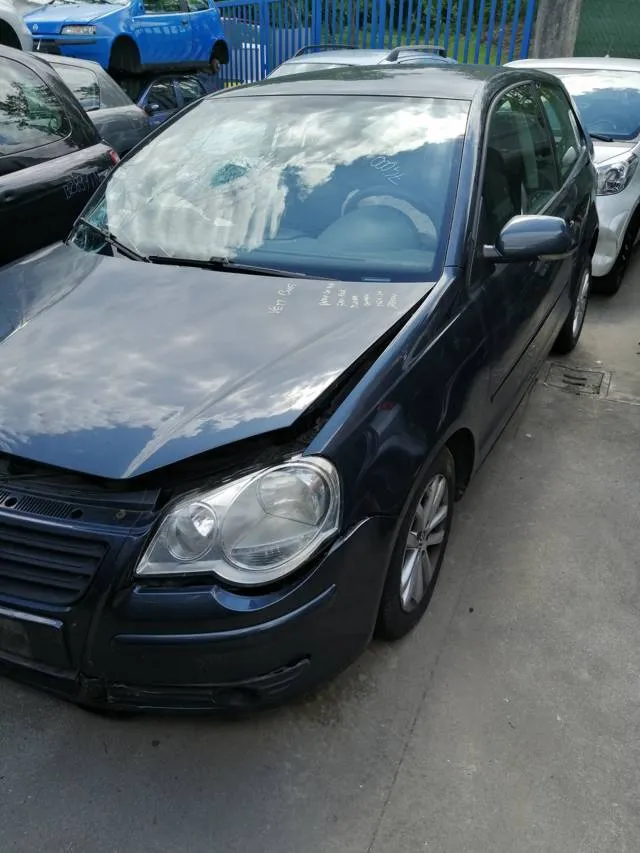 ELETTROGUIDA VOLKSWAGEN POLO 05>09