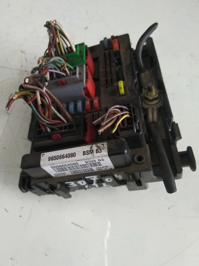 Body Computer Peugeot 307 del 2004 1.4 Diesel CODICE RICAMBIO : 9650664080