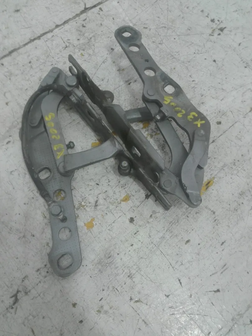 CERNIERE COFANO ANTERIORE DX E SX BMW X3 1Â° Serie 2000 Diesel (2005)