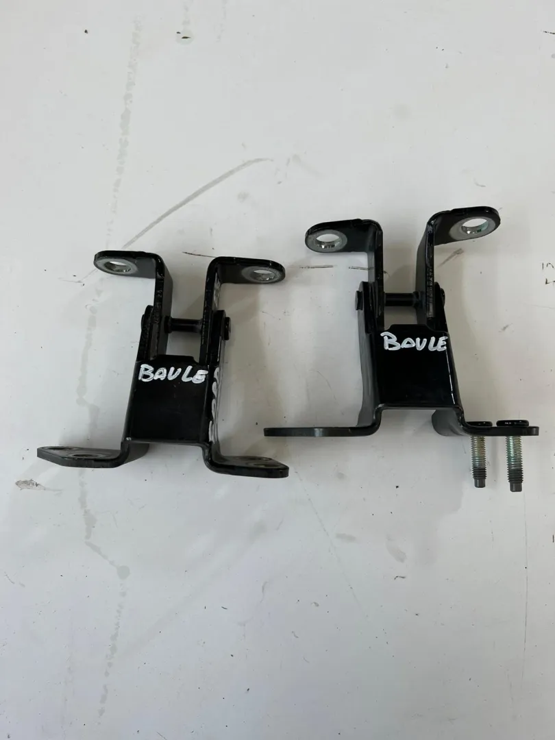 Cerniere cofano anteriore Ford Ecosport 1.5 D del 2016
