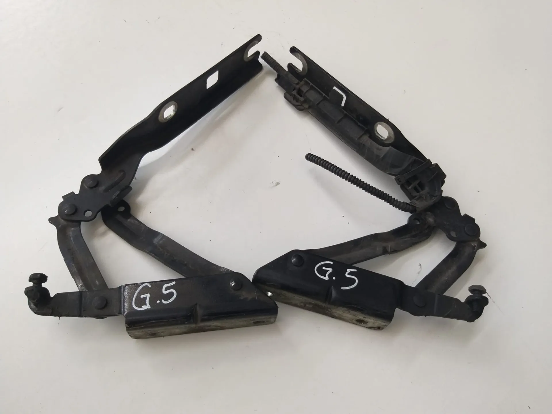 Cerniere cofano anteriore VW Golf 2.0 D del 2005