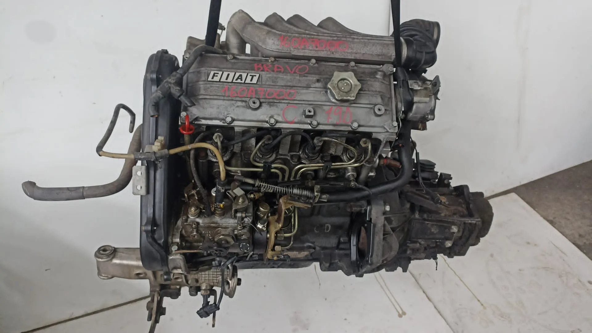 Motore 160A7000 Fiat Bravo del 1998 1.9 Diesel CODICE RICAMBIO : 160A7000