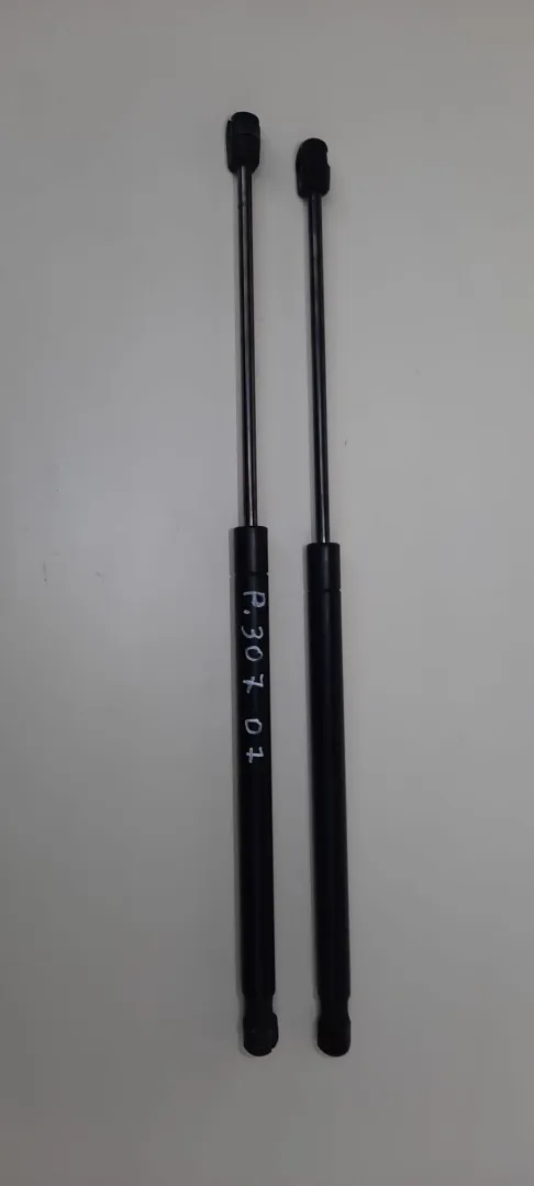 Pistoncini baule Peugeot 307 del 2007 1.6 Diesel