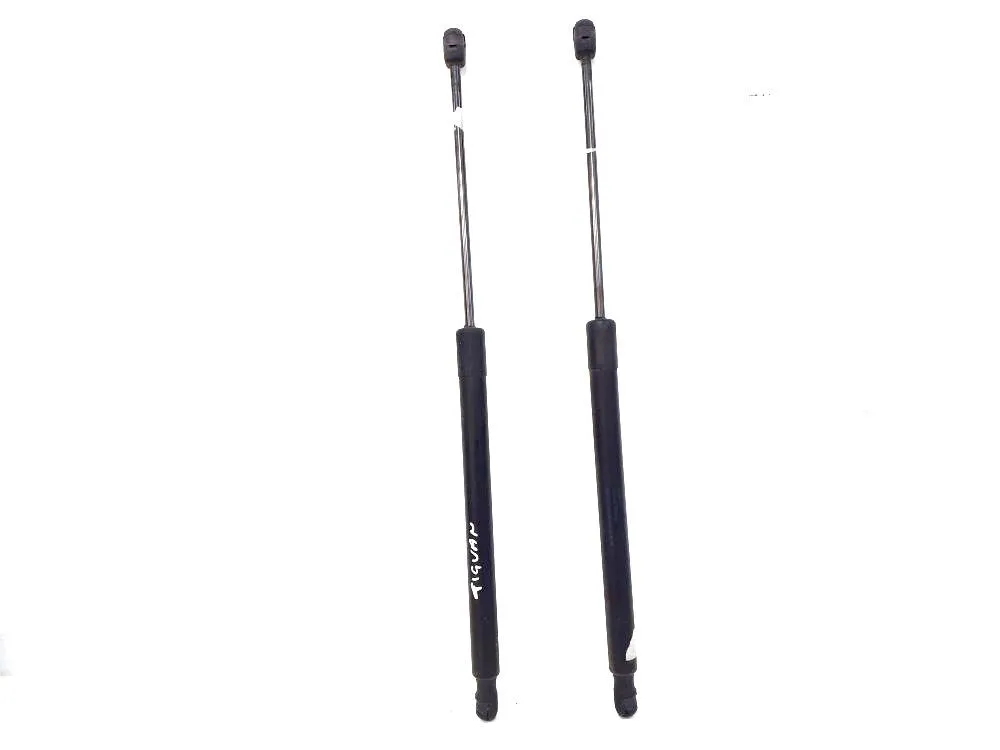 PISTONCINI COFANO POST. con codice 5N0827550 da VOLKSWAGEN Tiguan 1Â° Serie 2000 Diesel 103 (2008)