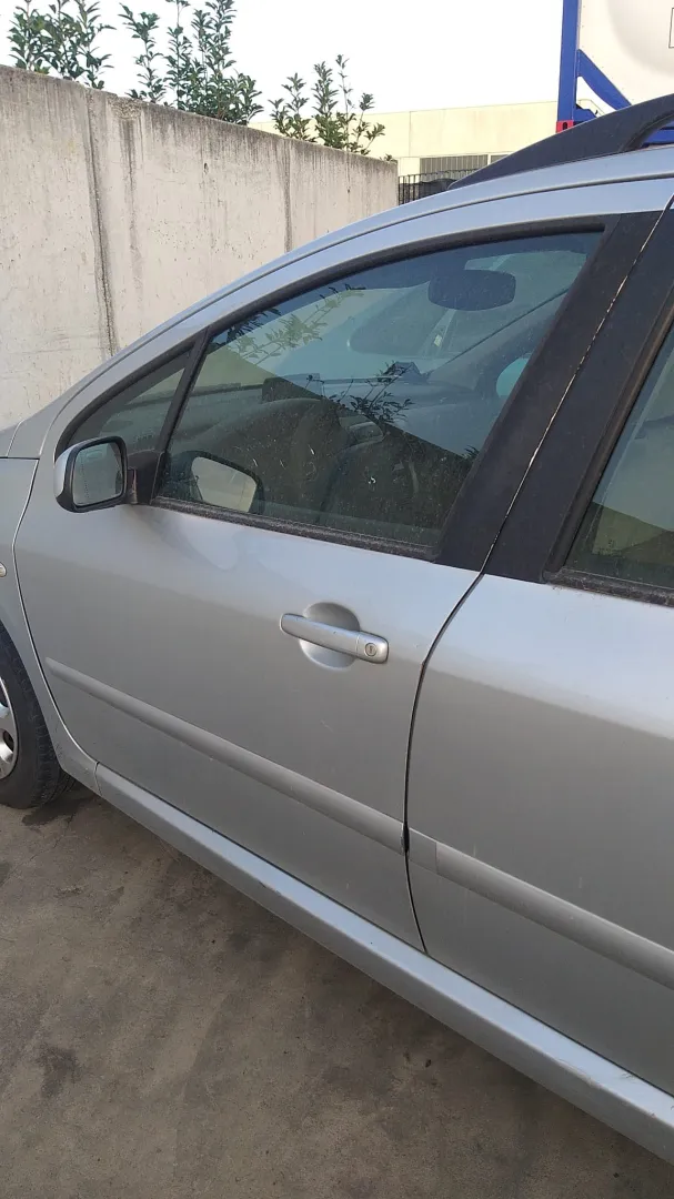 Porta anteriore sinistra Peugeot 307 1.6 D del 2007