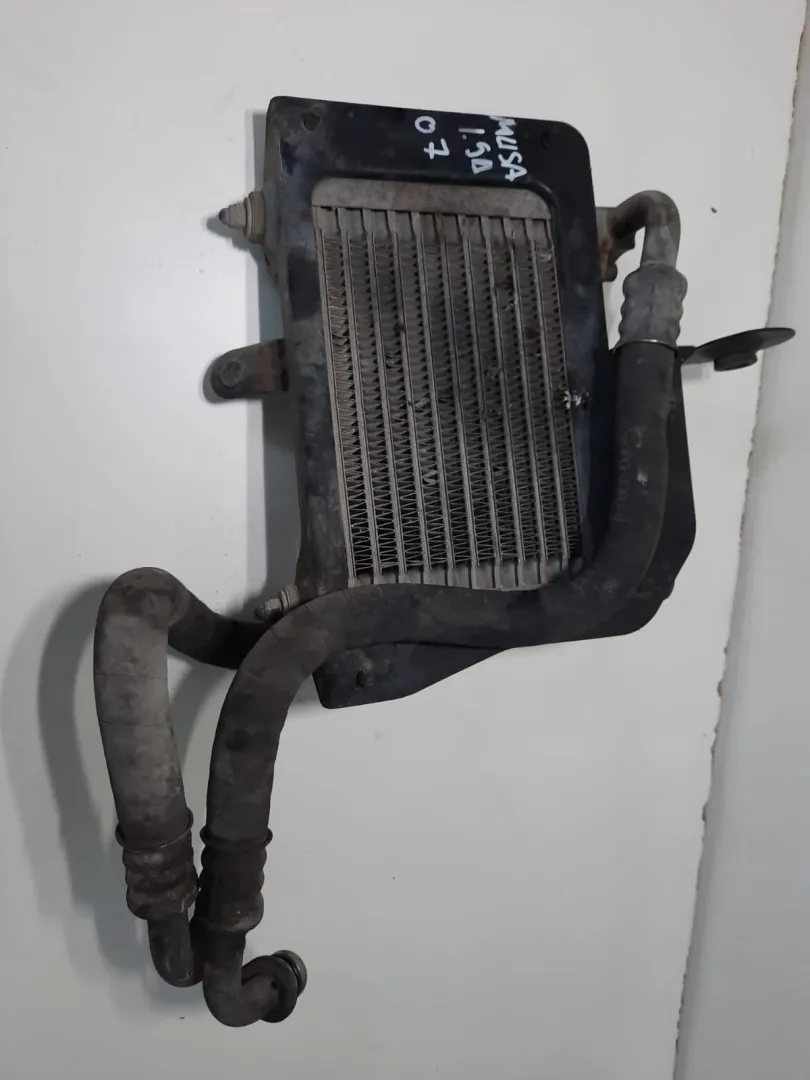 Radiatore Olio Lancia Musa del 2007 1.9 Diesel