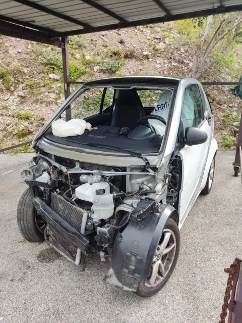 AMMORTIZZ POST DX SMART FORTWO 12>14