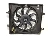 CONVOGLIATORE A/C CON ELETTROVENTOLA HYUNDAI i10 1° Serie 1000 Benzina 51 kW / 69 CV