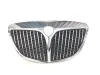 GRIGLIA ANTERIORE con codice 735384149 da LANCIA Ypsilon 2Â° Serie 1400 Benzina 57 con codice motore 350A1000 (2009)