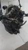 Motore Renault Megane del 2003 1.9 Diesel cod: F9QK7 CODICE RICAMBIO : F9QK7