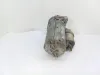 MOTORINO D' AVVIAMENTO con codice 55564491 da OPEL Corsa C 3P 2Â° Serie 1300 Diesel (2007)