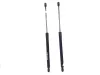 PISTONCINI COFANO POST. con codice 5N0827550 da VOLKSWAGEN Tiguan 1Â° Serie 2000 Diesel 103 (2008)