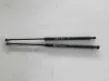 Pistoncini cofano posteriore per Nissan Qashqai del 2010