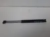 Pistoncini Lancia Musa del 2006 1.9 Diesel