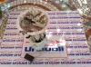POMPA CARBURANTE con codice 51885821 0580200134 da FIAT Panda 3Â° Serie Benzina