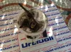 POMPA CARBURANTE con codice 0580200136 51863983 da FIAT Panda 3Â° Serie 900 Bipower