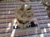 POMPA CARBURANTE con codice 0580303084 51767877 da LANCIA Musa 2Â° Serie Diesel