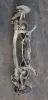 Ponte posteriore Volkswagen Passat del 2007 2.0 Diesel