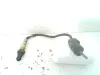 SONDA LAMBDA con codice 0281004018 da BMW Serie 1 Serie (E87) (07>) 2000 Diesel (2010)