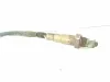 SONDA LAMBDA con codice 0258006206 da FIAT Punto Berlina 5P 2Â° Serie 1200 Benzina 44 (1999)