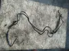 Tubi olio Opel Signum del 2004
